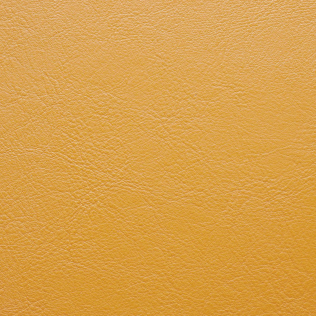 Aston Mustard