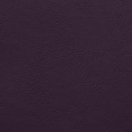 Aston Purple