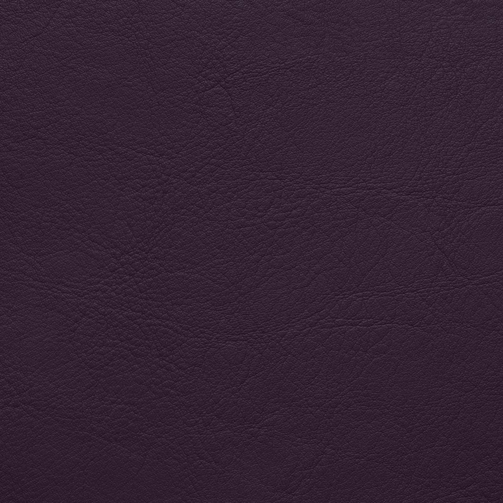Aston Purple