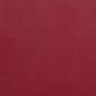 Aston Redcurrant