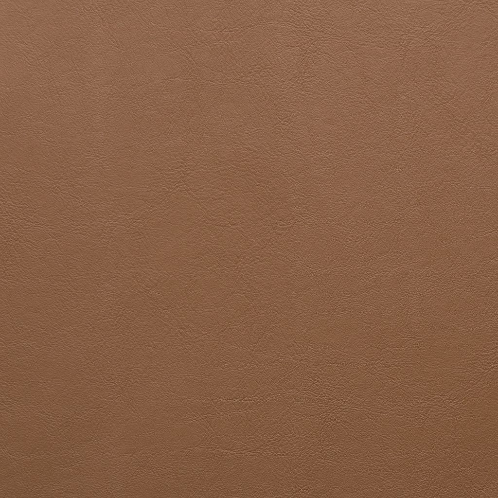 Aston Camel