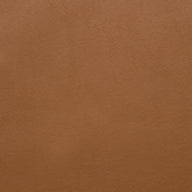 Aston Ochre