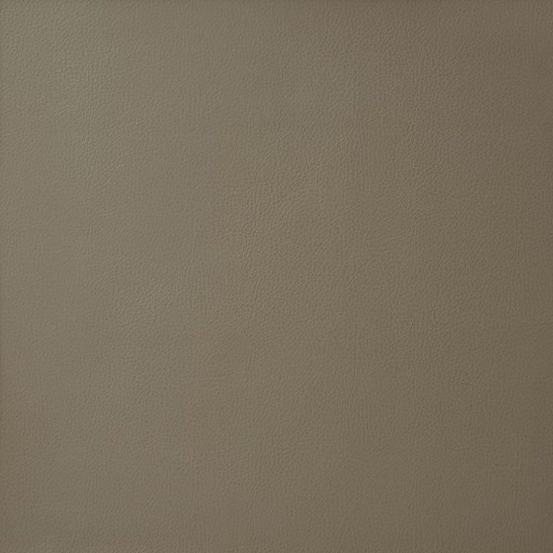 Brookland Dove