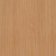 Beech