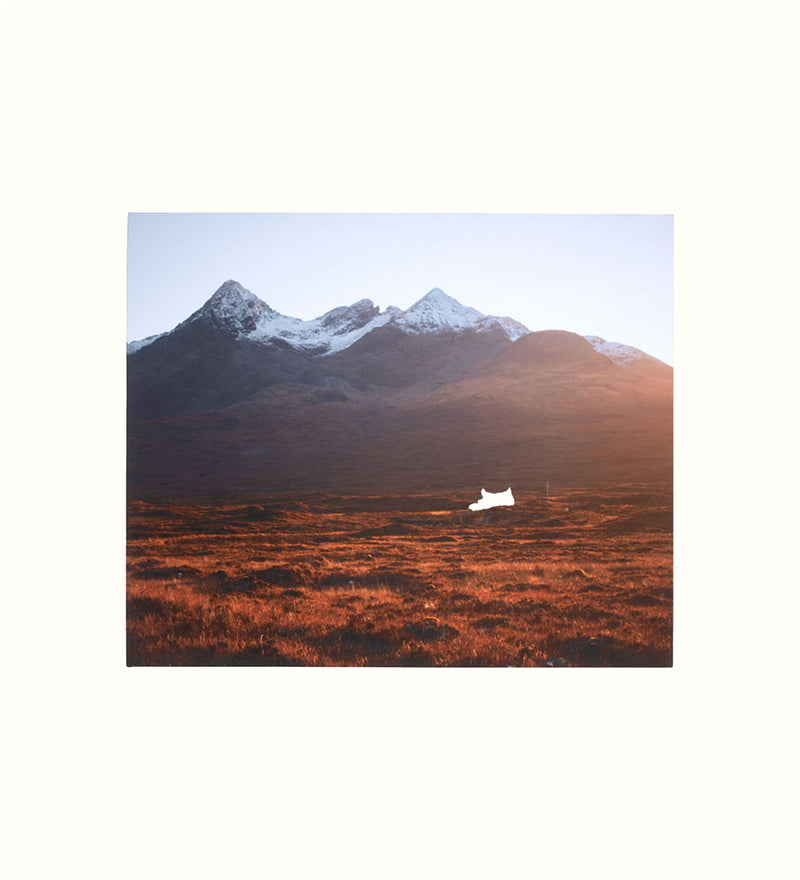 Canvas wall art for a care home interior