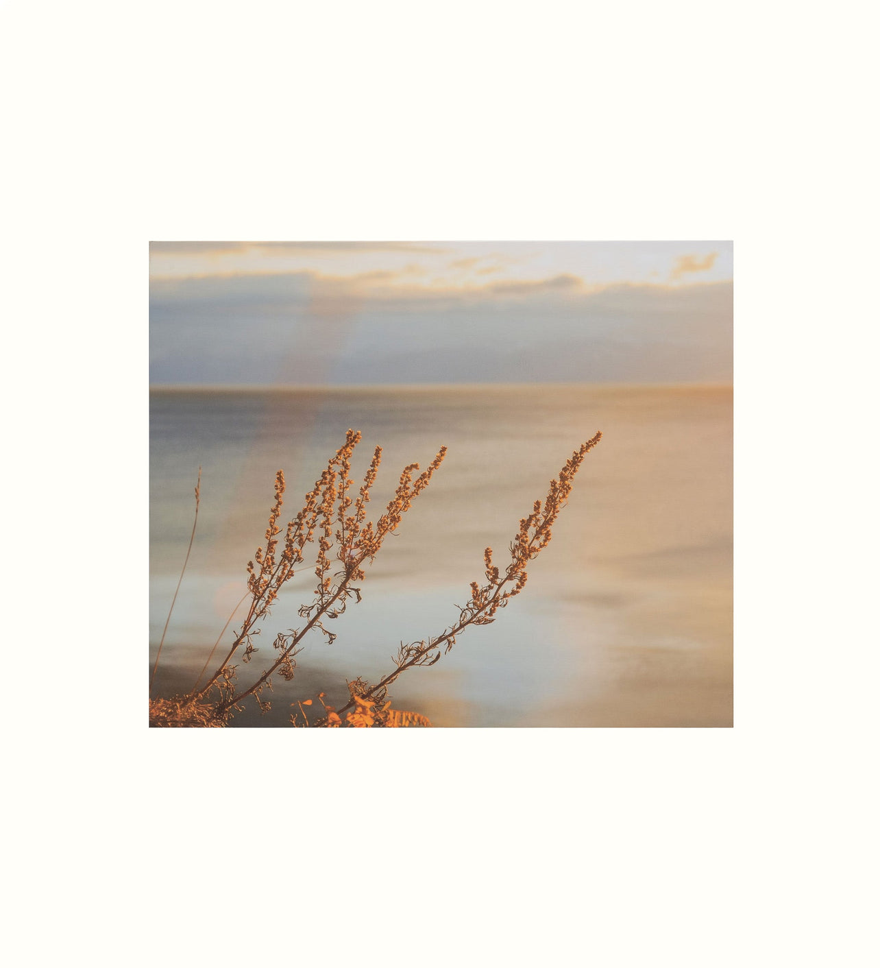 Koppla L201 Baikal Canvas