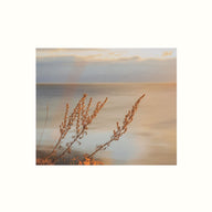 Koppla L201 Baikal Canvas