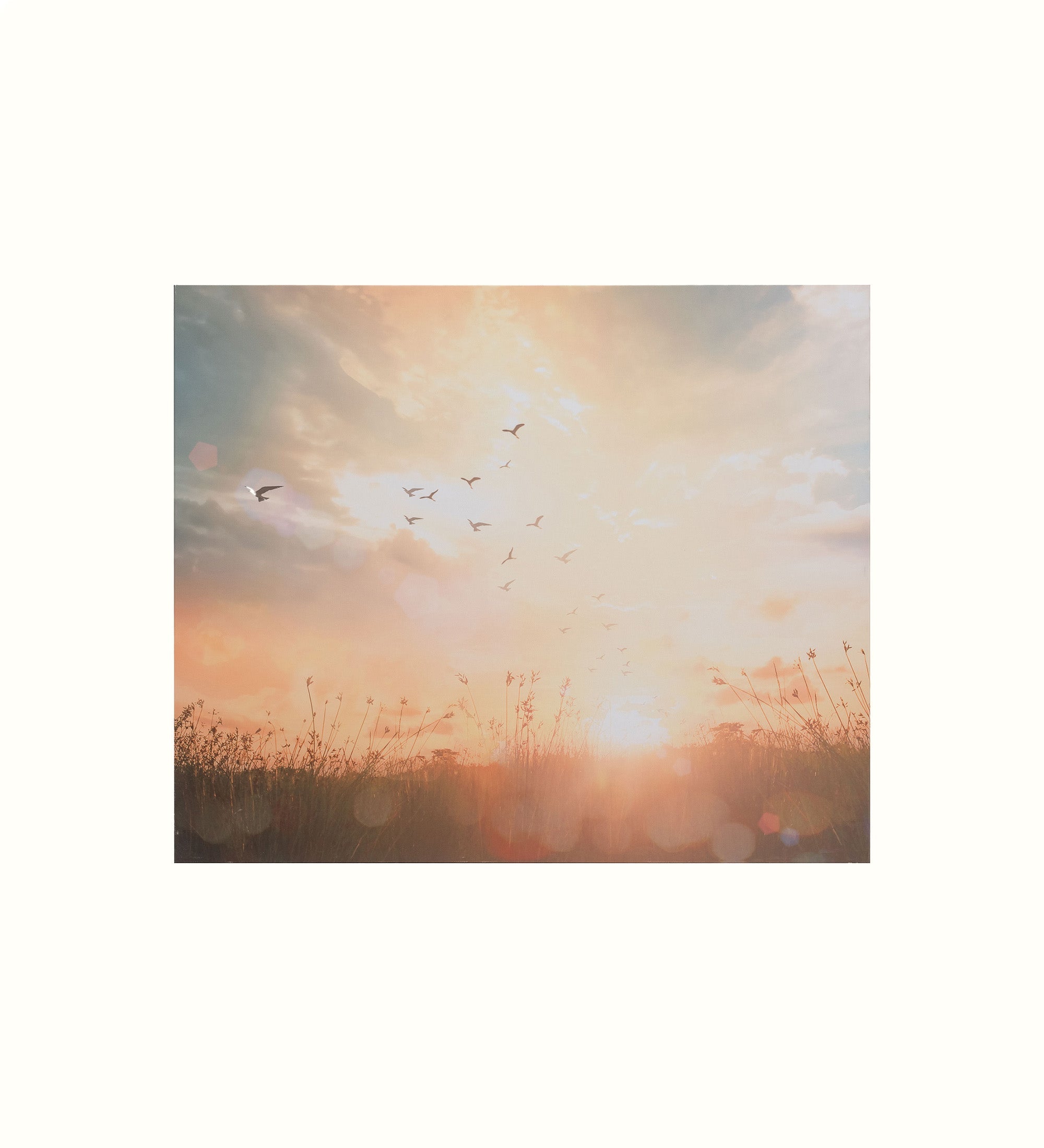 Koppla L201 Earth Canvas