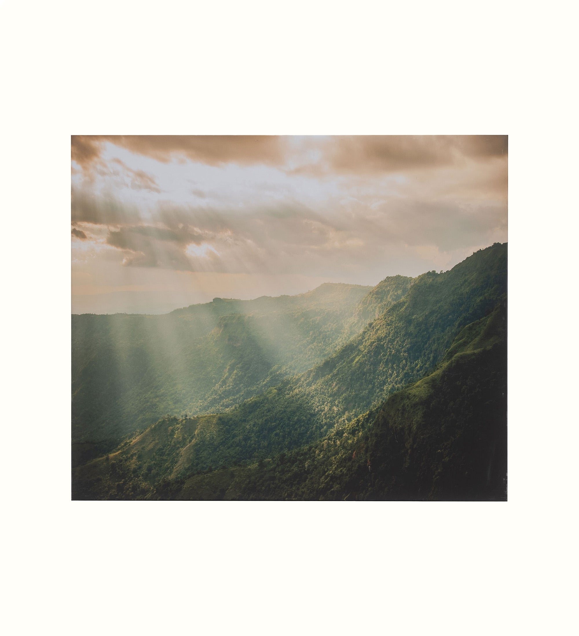 Koppla L202 Thailand Canvas