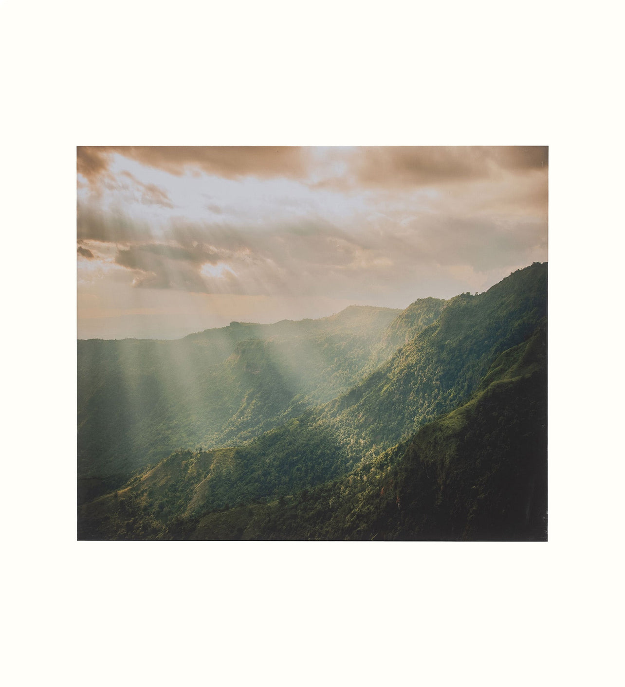 Koppla L202 Thailand Canvas