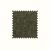 Compass Olive