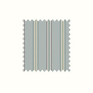 Gazania Chalk Blue