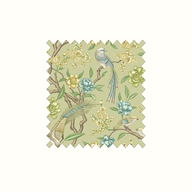 Kanra Elderflower