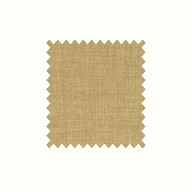 Linetta Olive