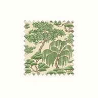 Matsu Forest