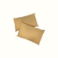 Waterproof Anti-MRSA Source 2 Pillow