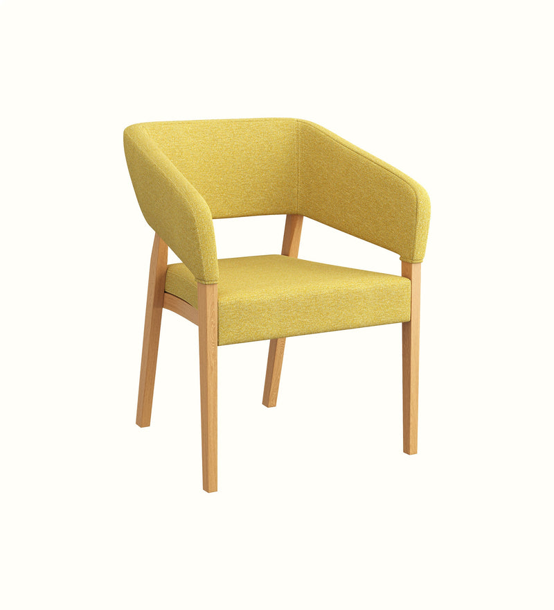 Enzo armchair for an elderly care lounge