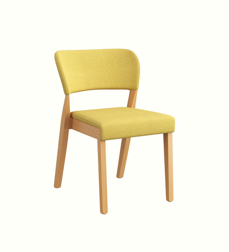 Enzo armchair for an elderly care lounge