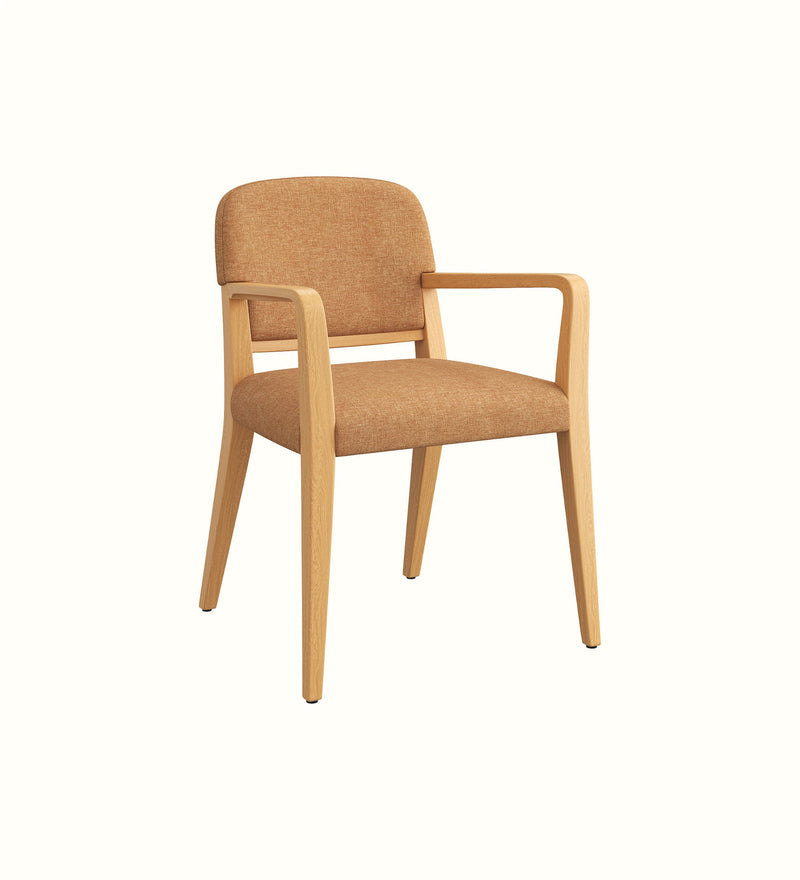 Evelyn armchair for an elderly care lounge