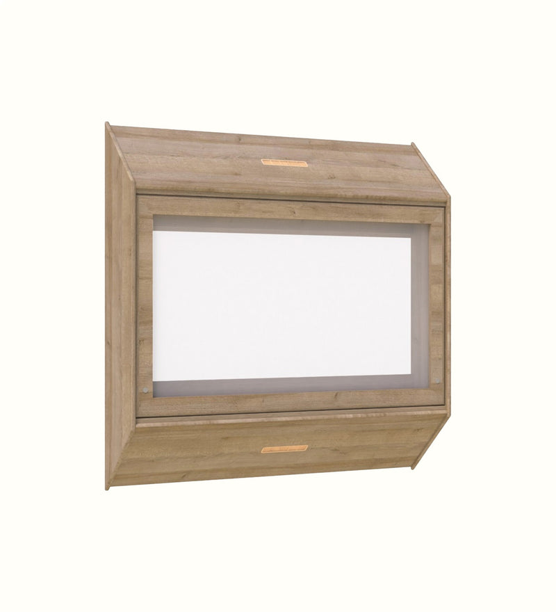 Indi-Struct secure TV unit for a mental health care environment