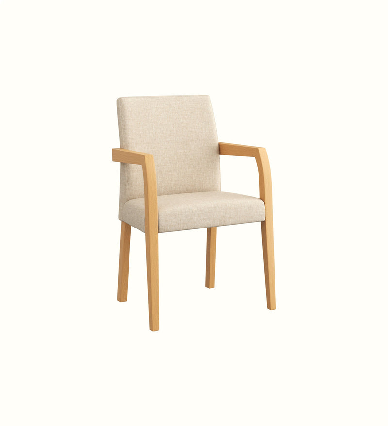 Madison armchair for an elderly care lounge