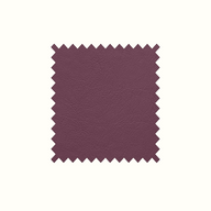Aston Aubergine
