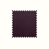 Aston Damson