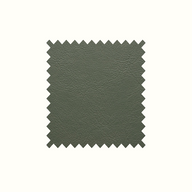 Aston Elm