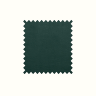 Aston Racing Green