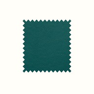 Aston Teal