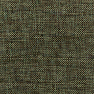 Compass Olive