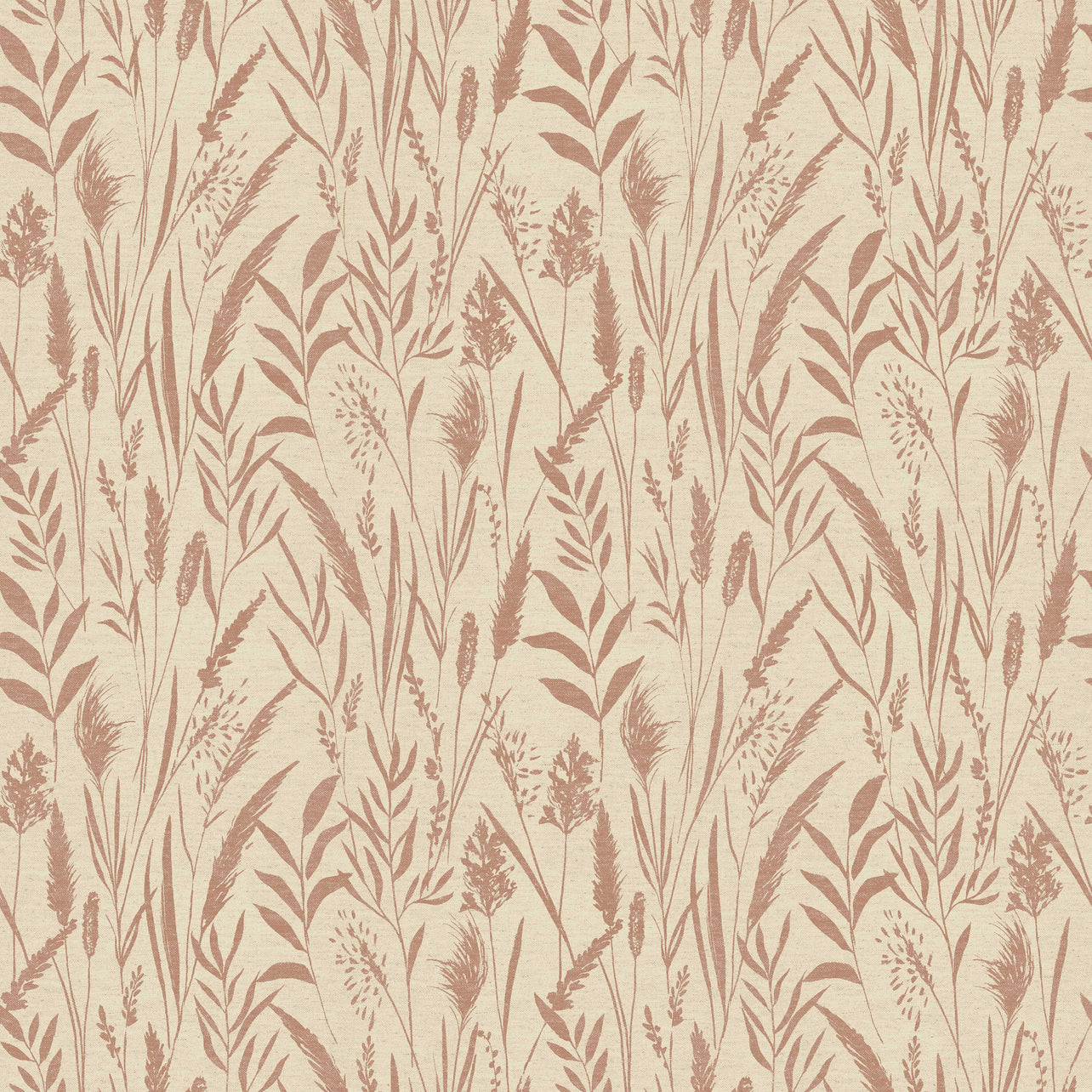 Dhalia Coral