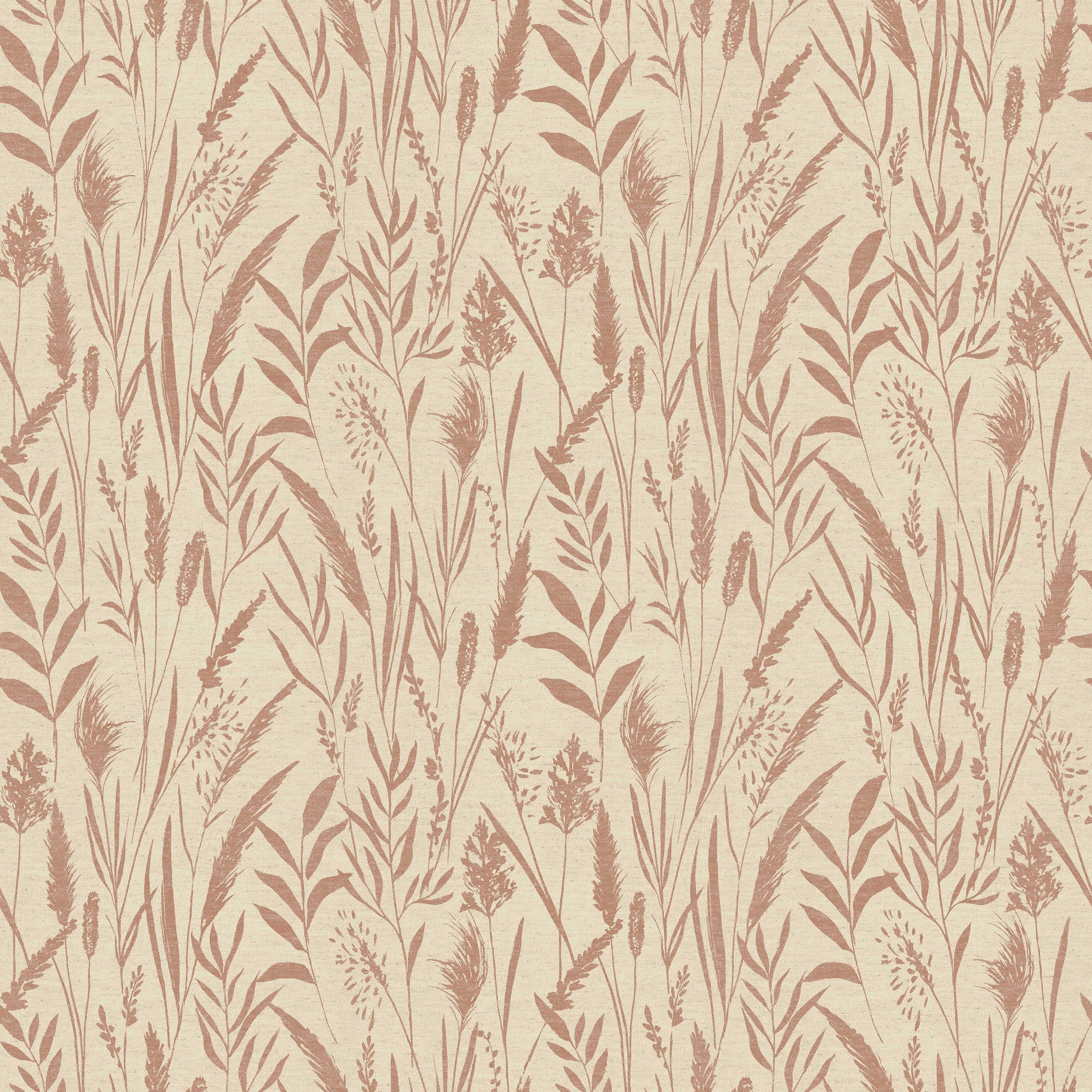 Dhalia Coral