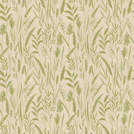 Dhalia Kiwi