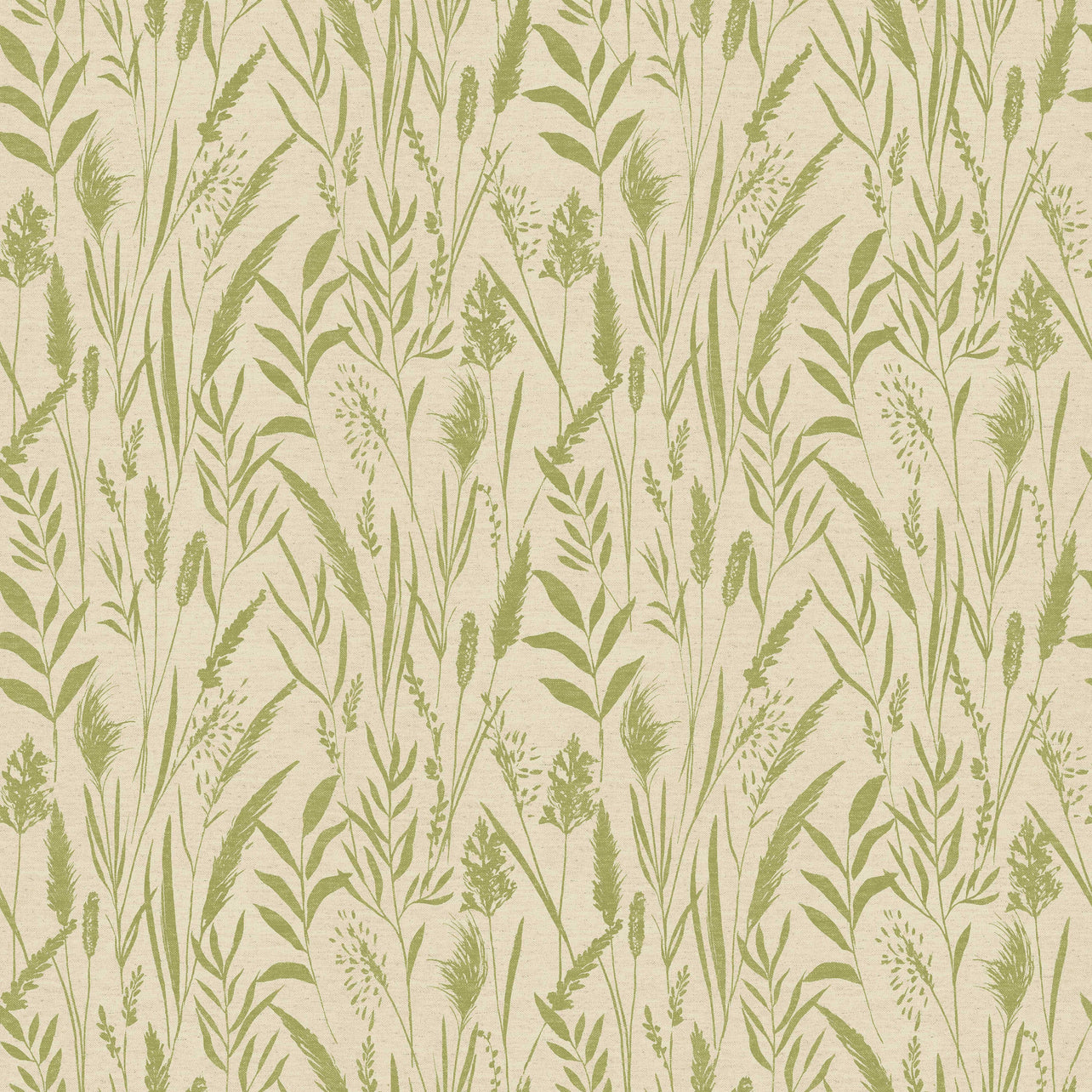 Dhalia Kiwi