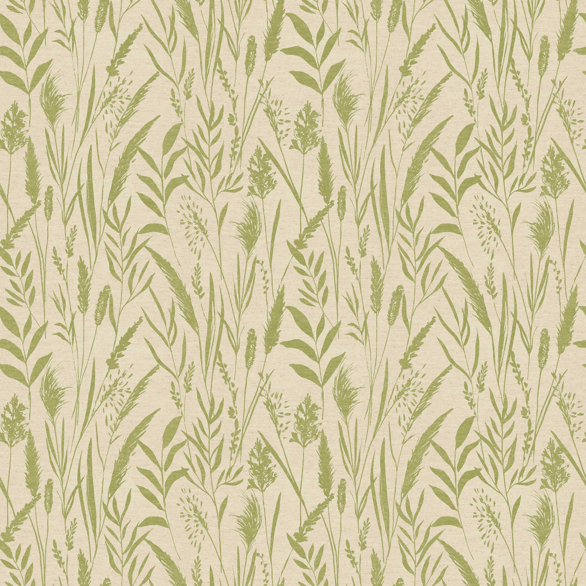 Dhalia Kiwi