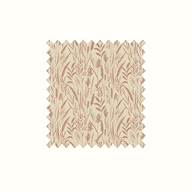 Dhalia Coral