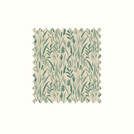 Dhalia Evergreen