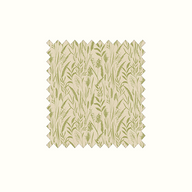 Dhalia Kiwi