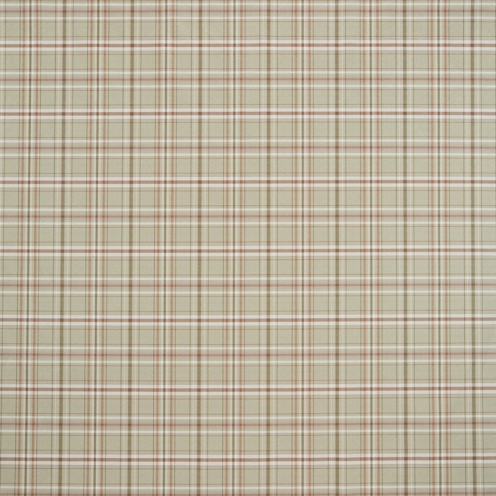 Langholm Olive