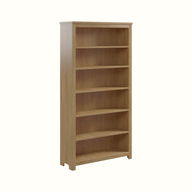 Ryker Large Bookcase