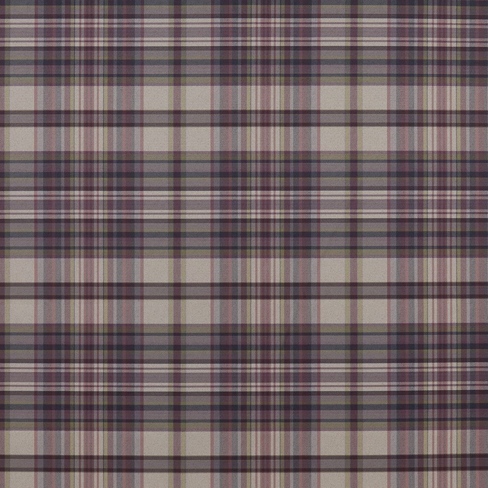 Regan Aubergine