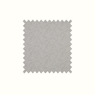 Zinnia Cream