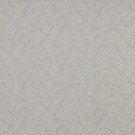 Zinnia Cream