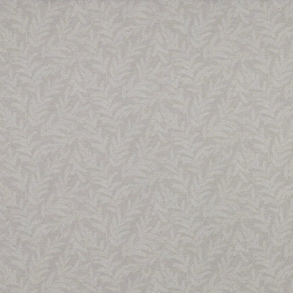 Zinnia Cream