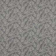 Zinnia Graphite