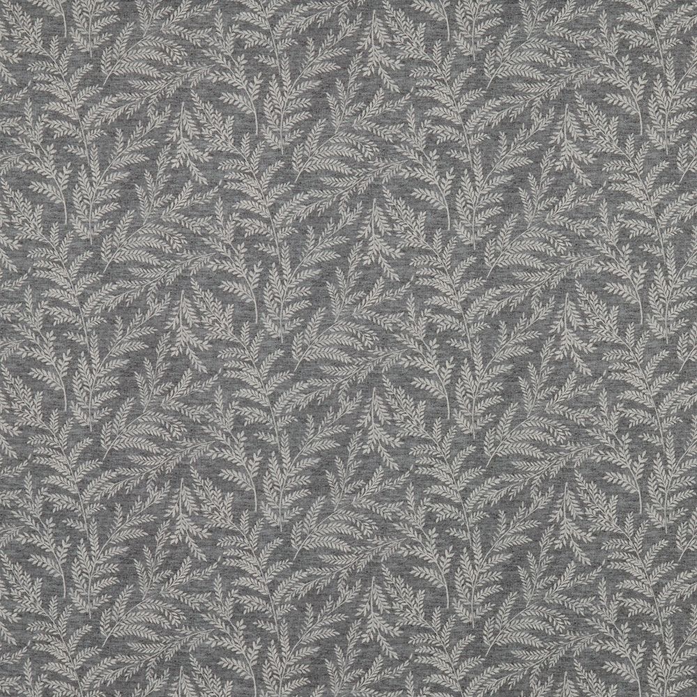 Zinnia Graphite